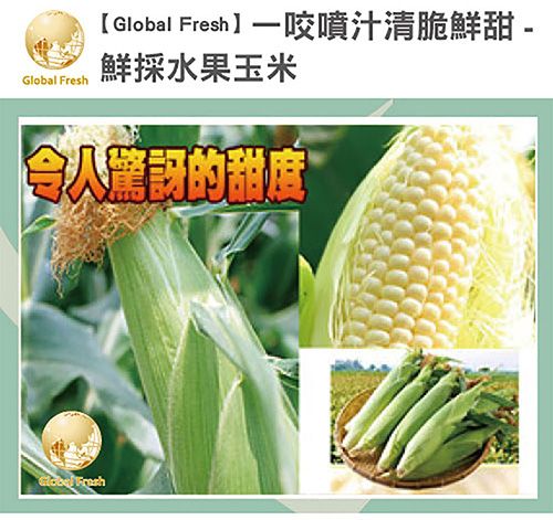 Global Fresh【Global Fresh】一咬噴汁清脆鮮甜 -鮮採水果玉米令人驚訝的甜度 Fresh