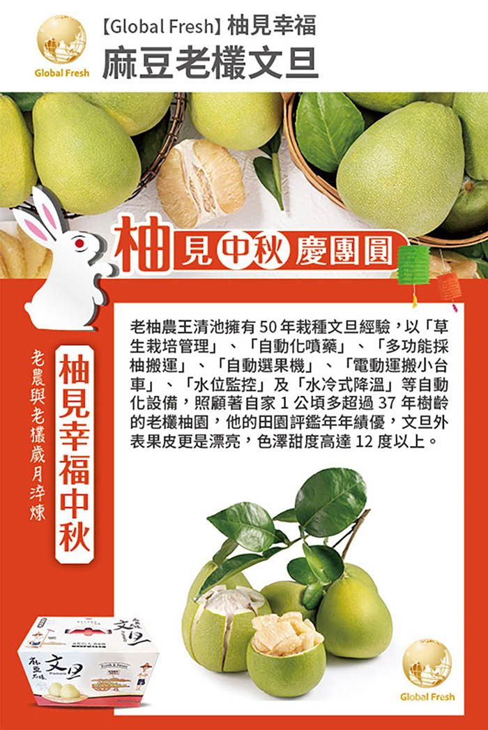 Global Fresh【Global Fresh】 麻豆烹見慶團圓見幸福中秋老柚農王清池擁有50年栽種文旦經驗以「草生栽培管理 「自動噴藥 「多功能採柚搬運、「自動選果機」 「電動運搬小台車」、「水位監控」及「水冷式降溫」等自動化設備,照顧著自家1公頃多超過37年樹齡的老欉柚園,他的田園評鑑績優,文旦外表果皮更是漂亮,色澤甜度高達12度以上。文旦Global Fresh