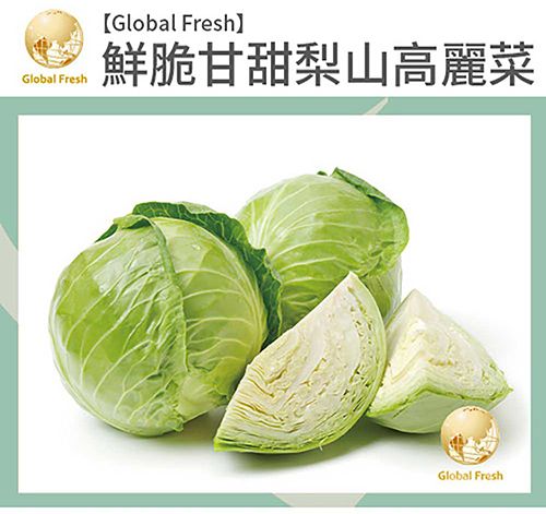 Global Fresh【Global Fresh】鮮脆甘甜梨山高麗菜Global Fresh