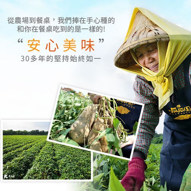 瓜瓜園  台農57號 冰心烤蕃薯 綿密黃番薯  1Kg x2袋