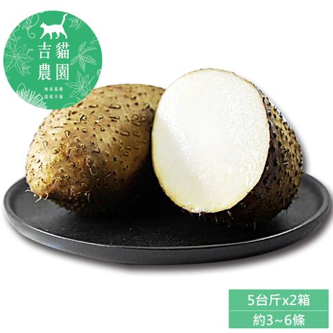 【吉貓農園】高雄內門刺薯山藥5台斤x1箱(約3~6顆/箱_產地直送_草生種植_常溫宅配)