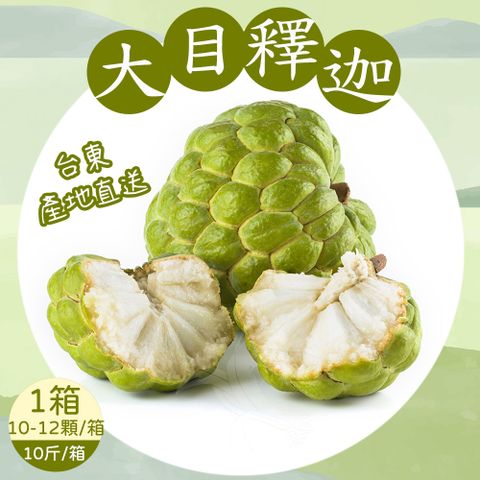 禾鴻 台東優質大目釋迦10斤x1箱(10-12顆/箱_中果)