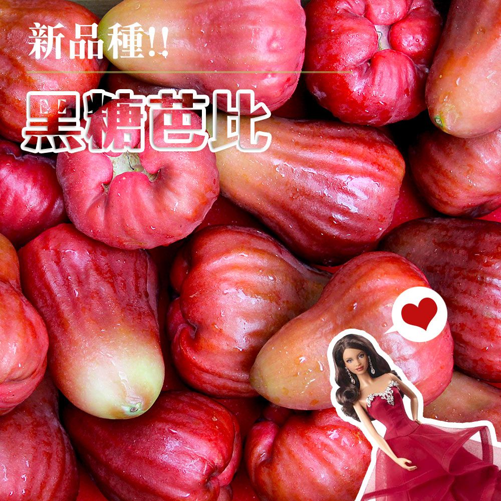 鮮果日誌 蓮霧界的LV 黑糖芭比4台斤