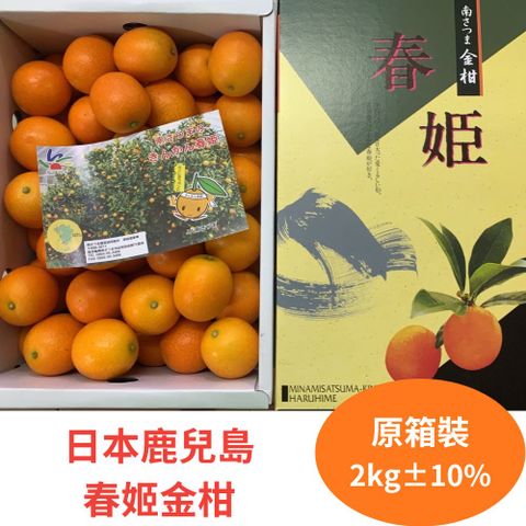 RealShop 真食材本舖 日本鹿兒島春姬金柑 2kg±10%原裝箱