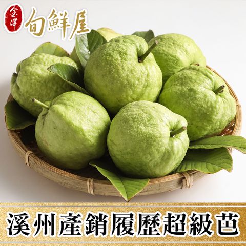 【金澤旬鮮屋】溪州產銷履歷珍珠芭樂5台斤x1箱(8~10顆/箱)