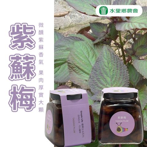 水里農會 任-紫蘇梅-530g-瓶 (1瓶組)