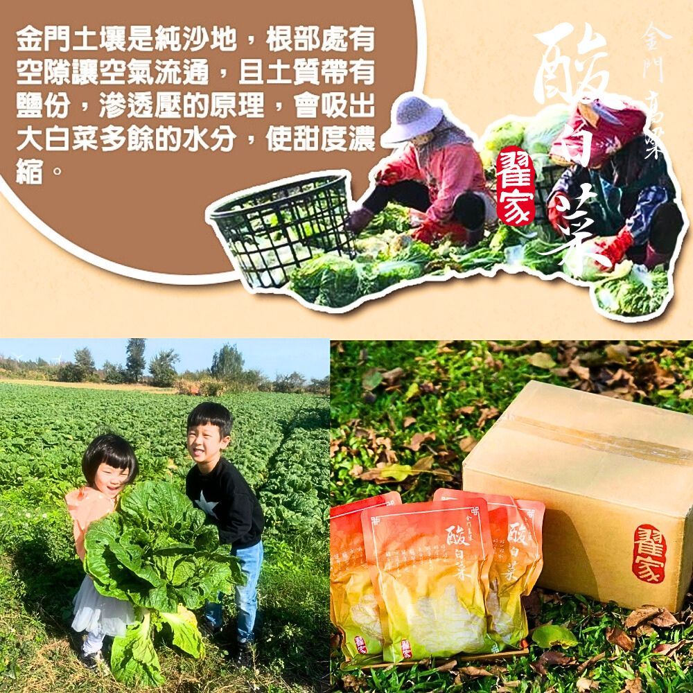  【金門翟家】高梁酸白菜(600g/包) 3包組