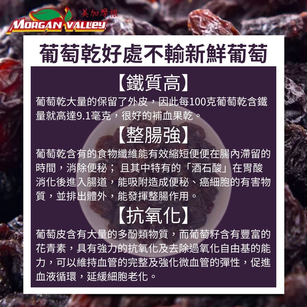 MORGANVALLEY 美加摩根 智利頂級超大無籽葡萄乾(50gx10包/袋) 5袋組
