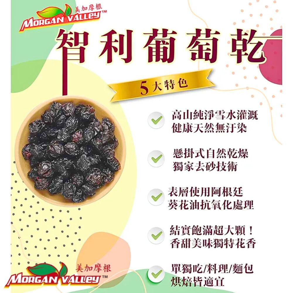 MORGANVALLEY 美加摩根 智利頂級超大無籽葡萄乾(50gx10包/袋) 5袋組