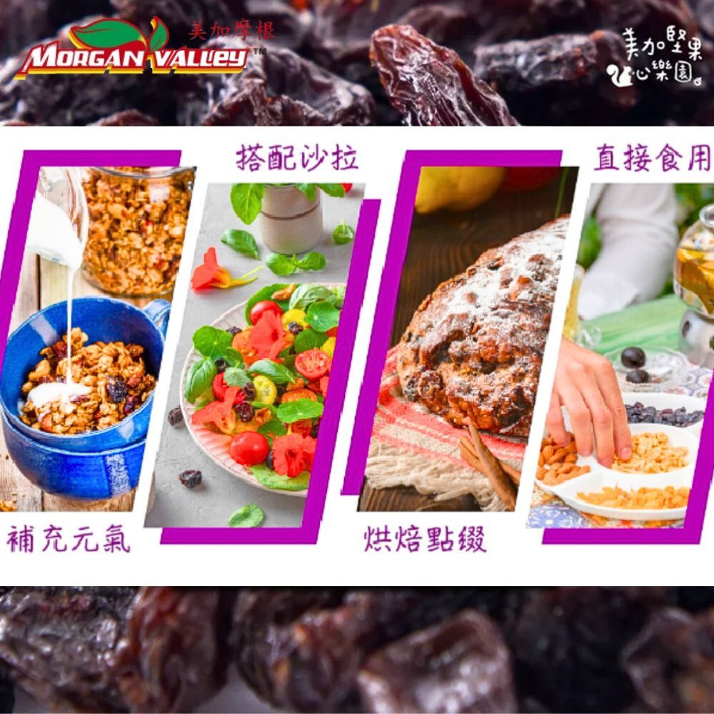 MORGANVALLEY 美加摩根 智利頂級超大無籽葡萄乾(50gx10包/袋) 5袋組