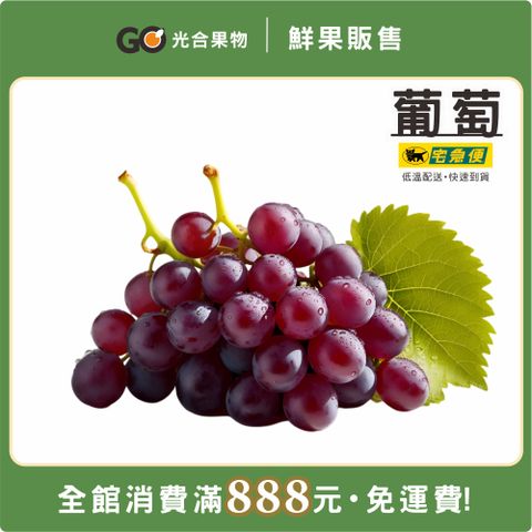 光合果物 任選888免運-葡萄
