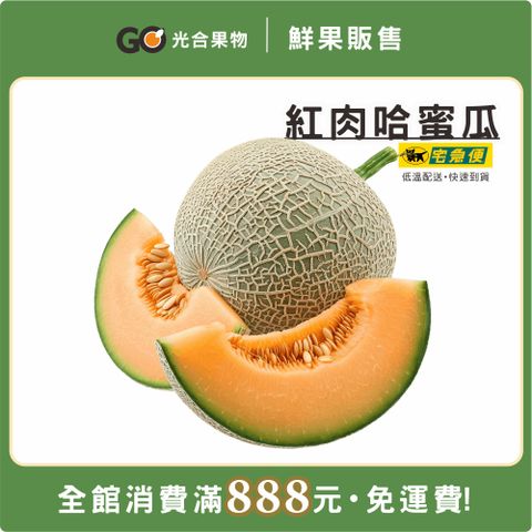 光合果物 任選888免運-哈密瓜