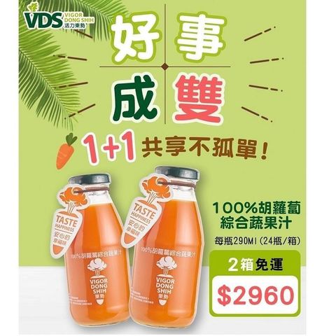 【南紡購物中心】 【活力東勢】VDS 胡蘿蔔綜合蔬果汁 好事成雙組(24瓶/箱)x2箱