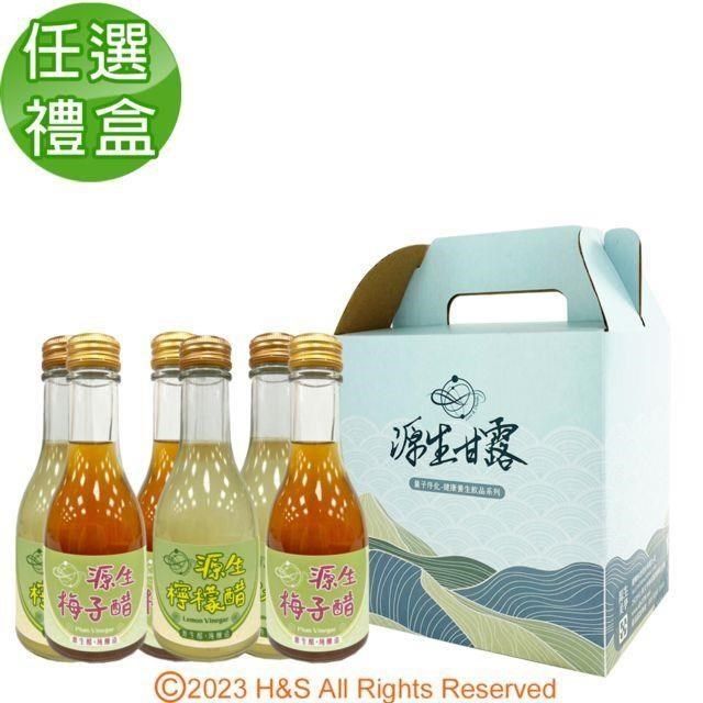  【南紡購物中心】 濃縮果醋(檸檬/梅子各3)手提禮盒(175ml*6瓶)