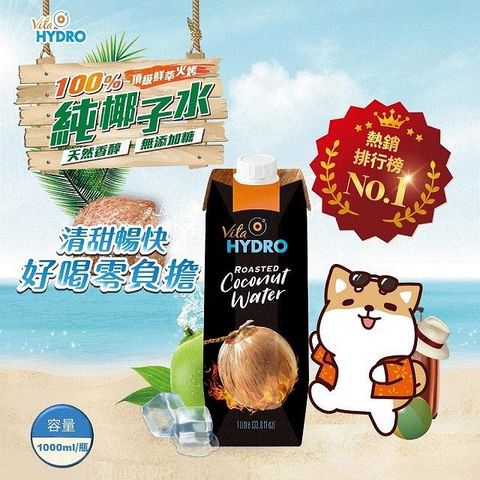 【南紡購物中心】 VITA HYDRO 火烤純100%椰子水(1000mlx12入)