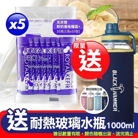 【南紡購物中心】 (贈耐熱瓶)Royal Kefir PRO Plus 克菲爾鮮奶優格種菌+ 1g*50包裝