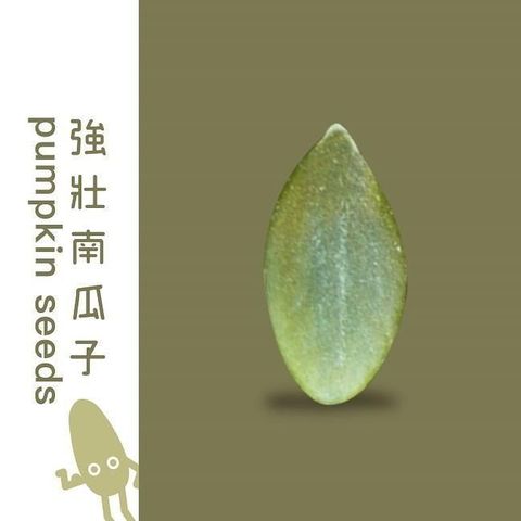 【南紡購物中心】 【堅強堅果】天然無添加原味南瓜子(370g*2入)