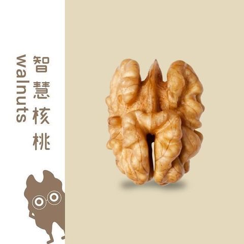 【南紡購物中心】 【堅強堅果】健身利器原味核桃(350g*2入)