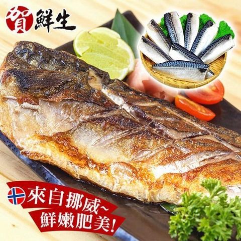 【南紡購物中心】 賀鮮生-大size挪威薄鹽鯖魚10片(190g/片)
