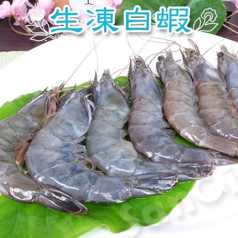 賣魚的家 【南紡購物中心】 泰國生凍白蝦 約15-18尾/盒 共3盒組 (淨重500g3%/盒)