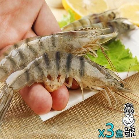 【南紡購物中心】 【鱻魚號】台灣海水自然養殖法L級白蝦11-15隻入組(淨重300公克±5%)x3盒