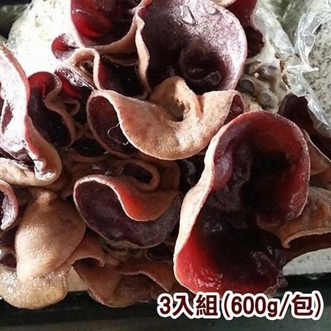 【南紡購物中心】 【鮮採家】溫室無毒新鮮黑木耳3入組(600g/包)