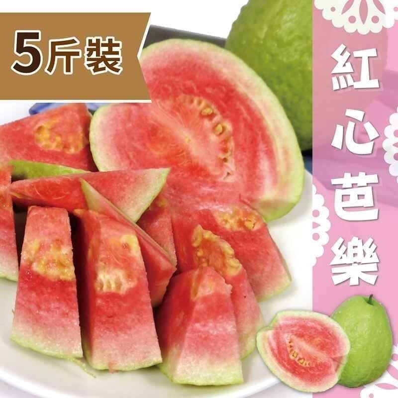  家購網嚴選 屏東高樹特產 精選紅心芭樂5斤裝/盒