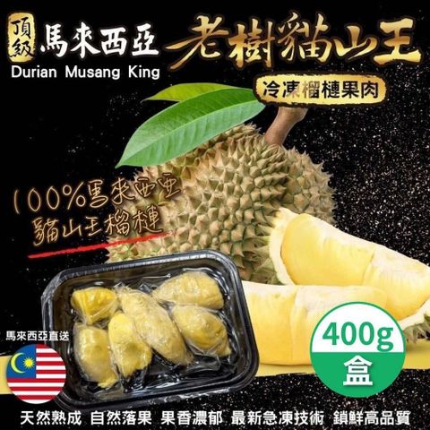 【南紡購物中心】 馬來西亞老樹貓山王榴槤禮盒 400g/盒