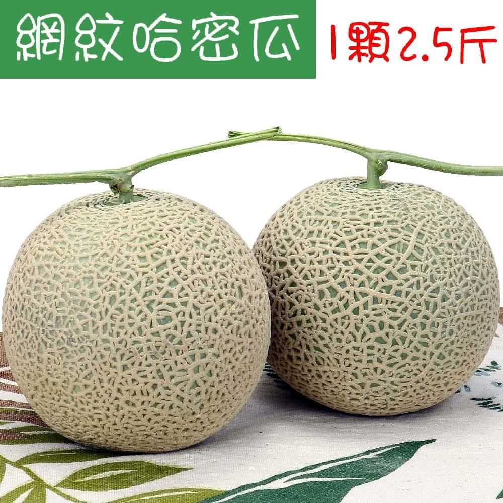 愛蜜果 _愛蜜果<br />台灣網紋哈密瓜1入禮盒 約2.5斤/盒  (阿露斯/日本品種)