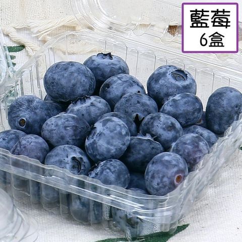 愛蜜果 祕魯/智利 藍莓6盒(約125g/盒)