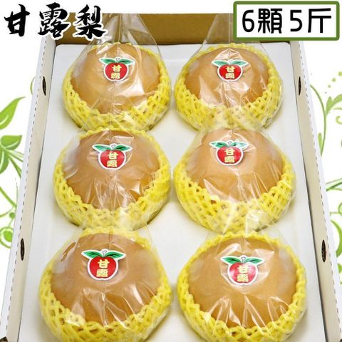 【愛蜜果】台灣寶島甘露梨/水梨 6顆禮盒 (約5斤/盒)