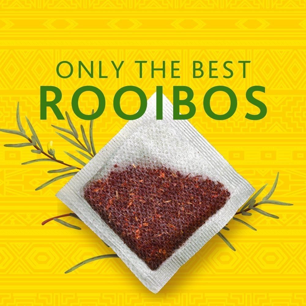  即期品【Freshpak】南非國寶茶 RooibosTea 茶包-新包裝/80入*12盒/箱