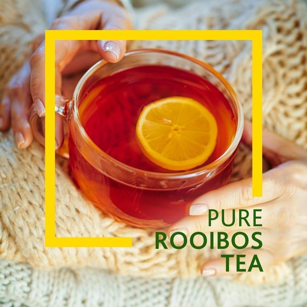  即期品【Freshpak】南非國寶茶 RooibosTea 茶包-新包裝/80入*12盒/箱