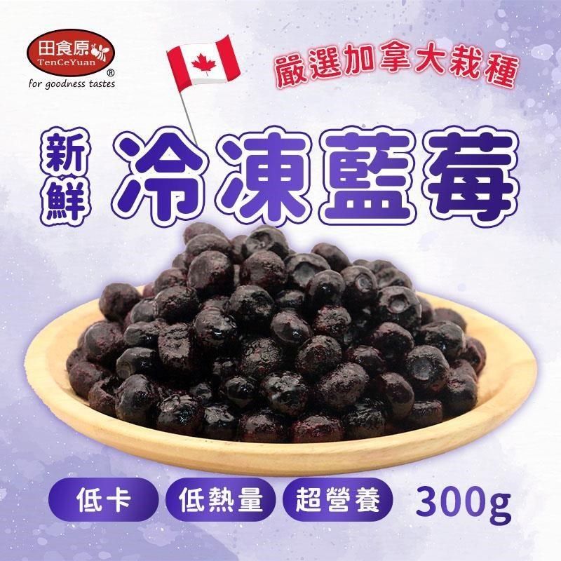  【田食原】新鮮冷凍藍莓 300g