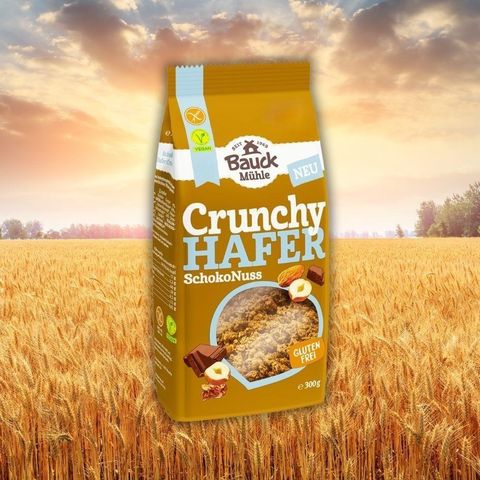 【德國BauckMühle】寶客無麩質巧克力堅果燕麥脆片(300g/包)