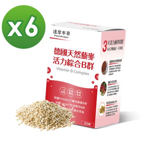 【達摩本草】專利天然藜麥綜合B群x6盒 (60粒/盒)《長效吸收、活力不斷電》