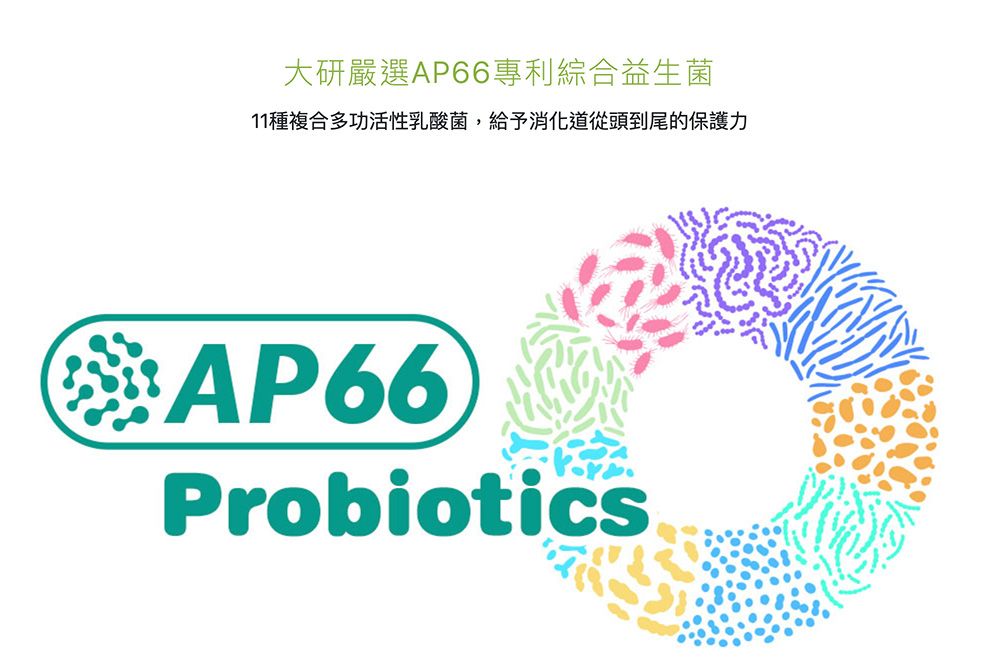 大研嚴選AP66專利綜合益生菌11種複合多功活性乳酸菌,給予消化道從頭到尾的保護力 AP66Probiotics