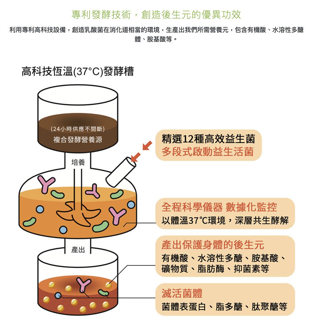 專利發酵技術,創造後生元的優異功效利用專利高科技設備,創造乳酸菌在消化道相當的環境,生產出我們所需營養元,包含有機酸、水溶性多醣體、胺基酸等。高科技恆溫(37°C)發酵槽(24小時供應不間斷)複合發酵營養源培養精選12種高效益生菌多段式啟動益生活菌產出全程科學儀器 數據化監控以體溫37環境,深層共生酵解產出保護身體的後生元有機酸、水溶性多醣、胺基酸、礦物質、脂肪酶、抑菌素等滅活菌體菌體表蛋白、脂多醣、肽聚醣等
