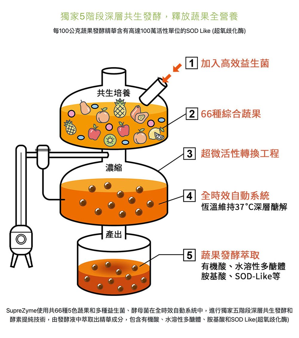 獨家階段深層共生發酵,釋放蔬果全營養每00公克蔬果發酵精華含有高達100萬活性單位的SOD Like (超氧歧化酶)共生培養 1 加入高效益生菌 2 66種綜合蔬果濃縮3 超微活性轉換工程 全時效自動系統恆溫維持37深層醣解產出 5 蔬果發酵萃取有機酸、水溶性多醣體胺基酸、SOD-Like等SupreZyme使用共66種5色蔬果和多種益生菌、酵母菌在全時效自動系統中,進行獨家五階段深層共生發酵和酵素提純技術,由發酵液中萃取出精華成分,包含有機酸、水溶性多醣體、胺基酸和SOD Like(超氧歧化酶)