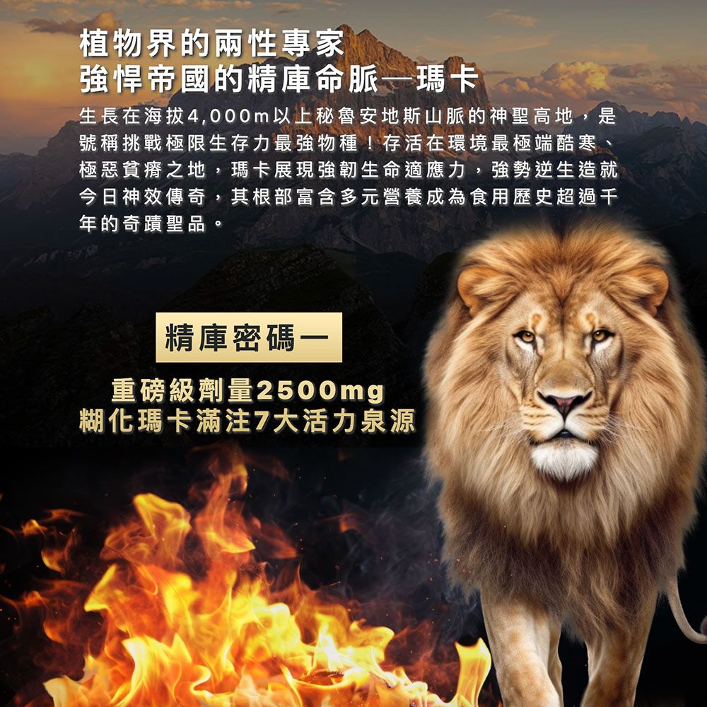 植物界的兩性專家強悍帝國的精庫命脈瑪卡生長在海拔4,000m以上秘的神聖高地,是號稱挑戰極限生存力最強物種!存活在環境最極端酷寒、極惡貧瘠之地,瑪卡展現強韌生命適應力,強勢逆生造就今日神效傳奇,其根部富含多元營養成為食用歷史超過千年的奇蹟聖品。精庫密碼一重磅級劑量2500mg糊化瑪卡滿注7大活力泉源