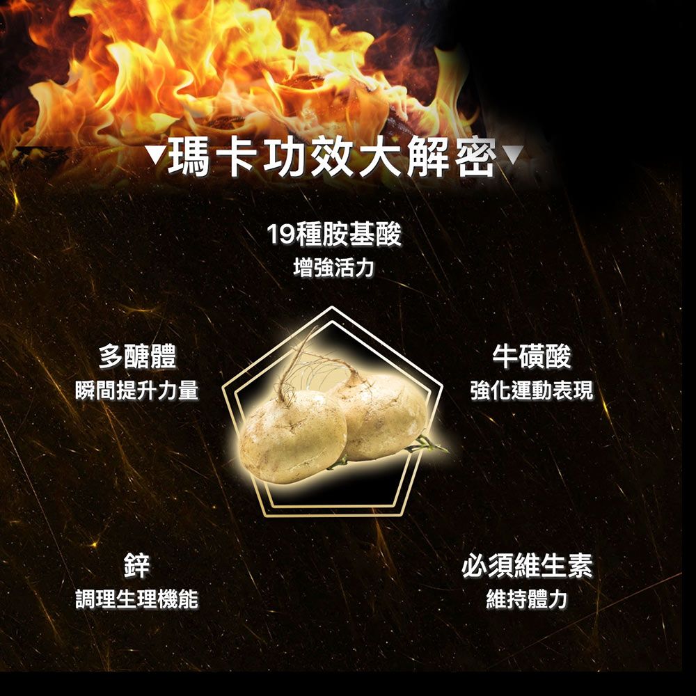 瑪卡功效大解密19種胺基酸增強活力多醣體瞬間提升力量鋅調理生理機能牛磺酸強化運動表現必須維生素維持體力