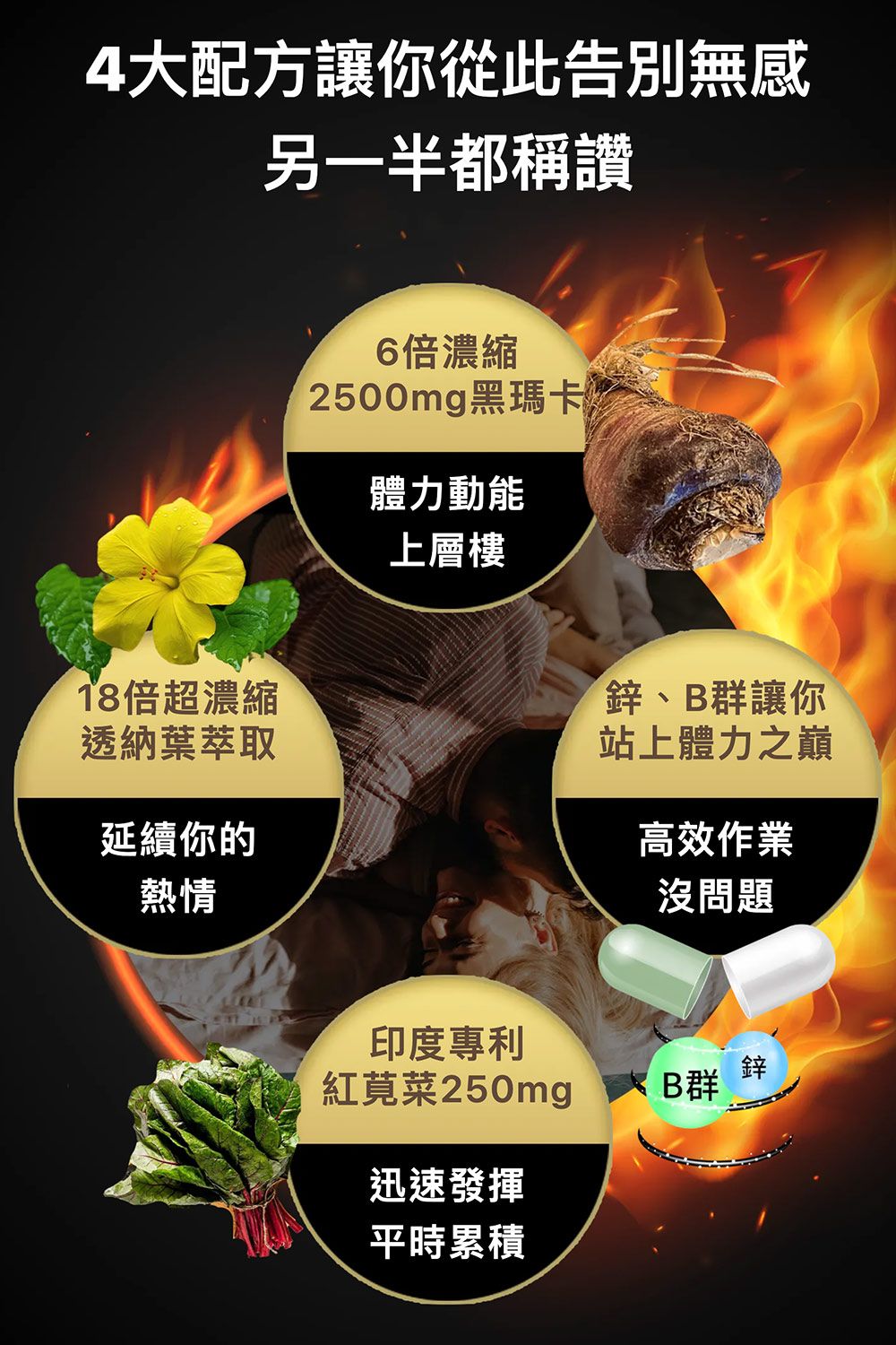 4大配方讓你從此告別無感另一半都稱讚18倍超濃縮透納葉萃取延續你的熱情6倍濃縮2500mg黑瑪卡體力動能上層樓鋅、B群讓你站上體力之巔高效作業沒問題印度專利鋅紅莧菜250mgB群迅速發揮平時累積
