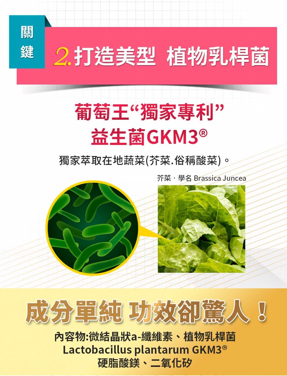 關鍵 2.打造美型 植物乳桿菌葡萄王“獨家專利”益生菌GKM3 ®獨家萃取在地蔬菜(芥菜.俗稱酸菜)。芥菜學名 Brassica Juncea成分單純 功效卻驚人!內容物:微結晶狀a-纖維素、植物乳桿菌Lactobacillus plantarum GKM3®硬脂酸鎂、二氧化矽