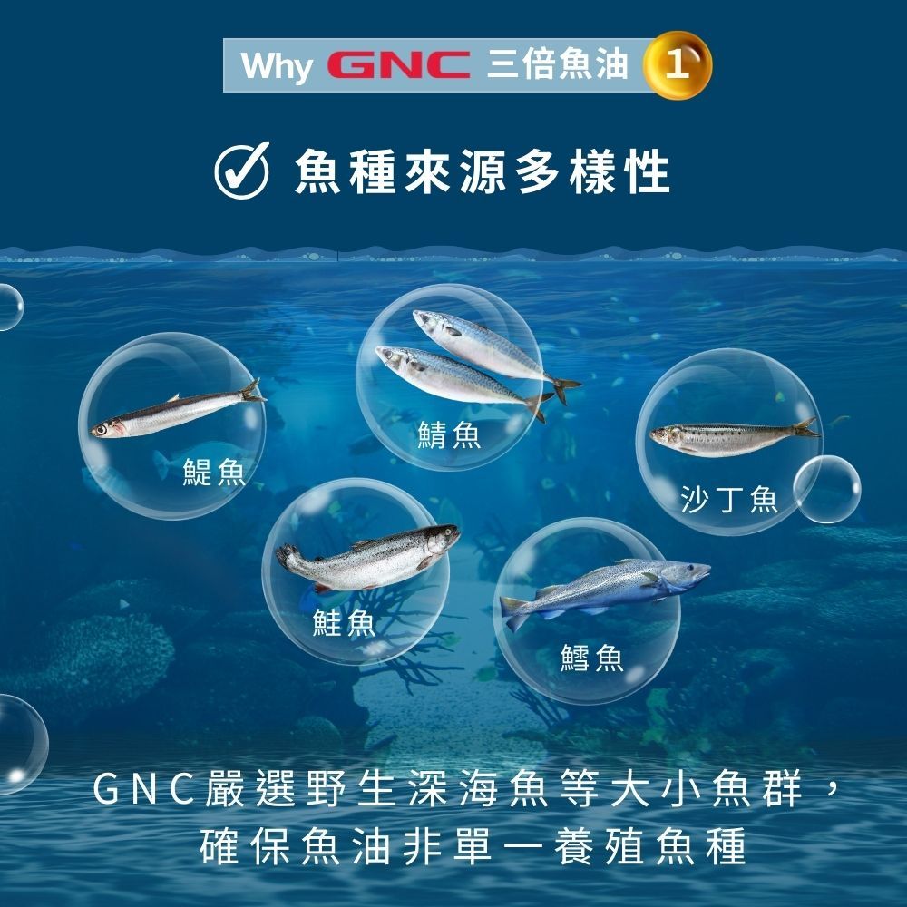 GNC 健安喜  三倍魚油迷你軟膠囊(120粒/瓶) 循環通順 高濃度魚油 促進代謝