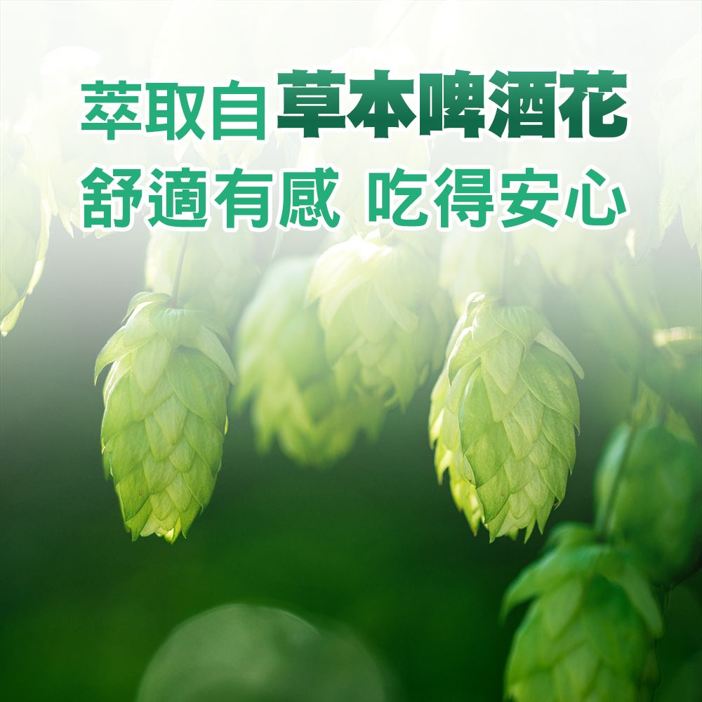 挺立 關鍵雙效錠(42錠x2盒)