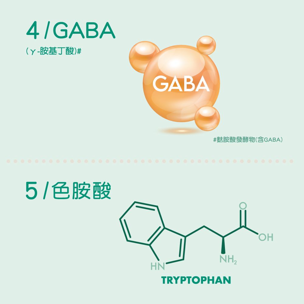4/GABA(胺基丁酸)#GABA5/色胺酸#麩胺酸發酵物(含GABA)OHHNTRYPTOPHAN