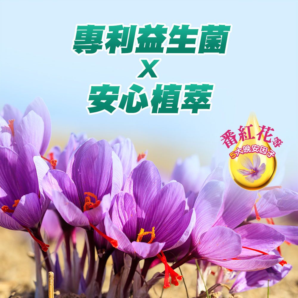 centrum 善存 舒眠益生菌膠囊60粒