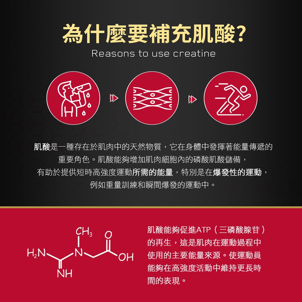 BSN 畢斯恩 肌酸309克(原味)