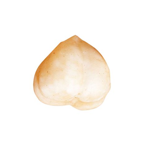 【堅強堅果】無調味榛果