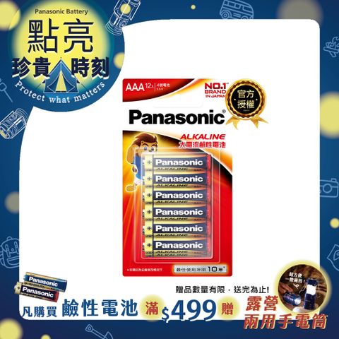 Panasonic 國際牌 大電流鹼性電池4號(12入)